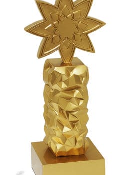 custom 3d print trophy star shape