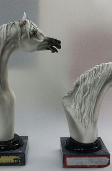 White Arabic horse head sculpture model
