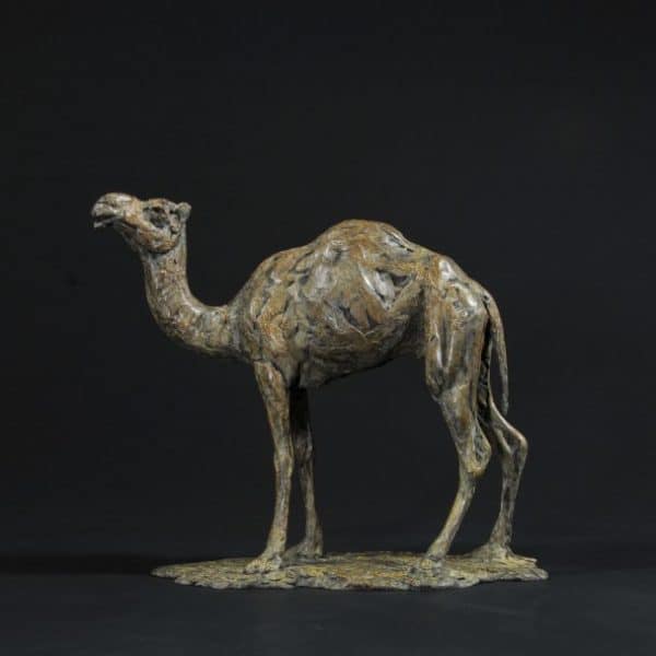 Customized resin wax camel outdoor statue made in Dubai