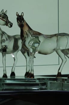 Customized clear crystal Arabic horse sculpture model
