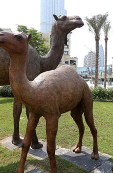 Life size outdoor camel statues made in Dubai