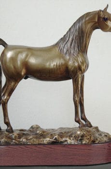 Customized bronze horse sculpture with wooden base