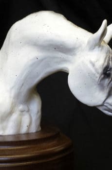 White horse head sculpture in resin made in Dubai