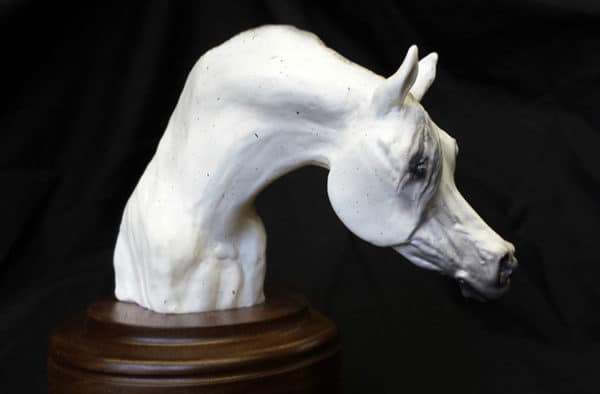 White horse head sculpture in resin made in Dubai